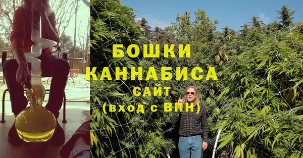 PSILOCYBIN Арсеньев