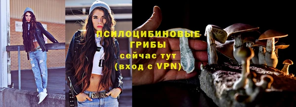 PSILOCYBIN Арсеньев