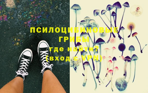 стафф Армянск