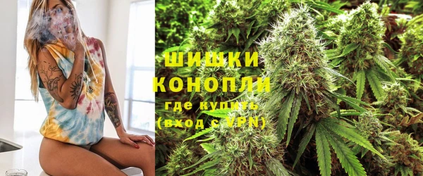PSILOCYBIN Арсеньев