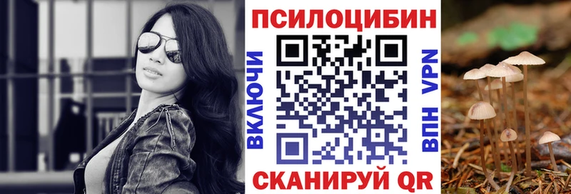 Псилоцибиновые грибы ЛСД  Циолковский 