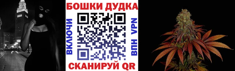 Конопля марихуана  как найти наркотики  Циолковский 